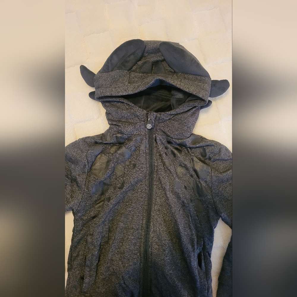 How To Train Your Dragon Kids Gray Hooded Jacket